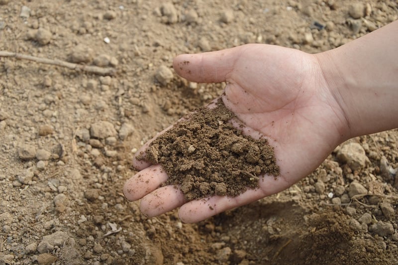 Composting